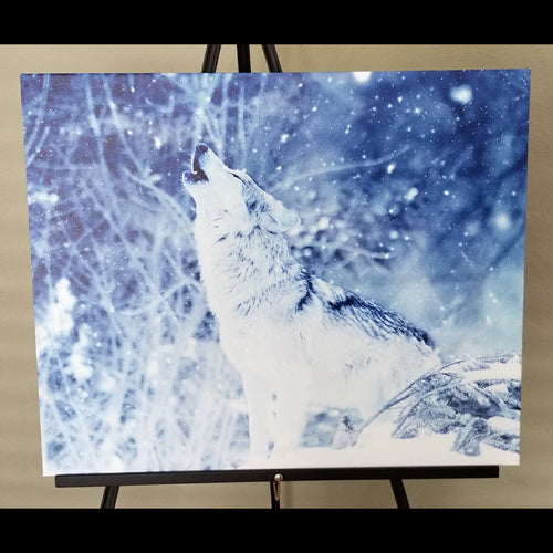 Pre-made Arctic Wolf (26
