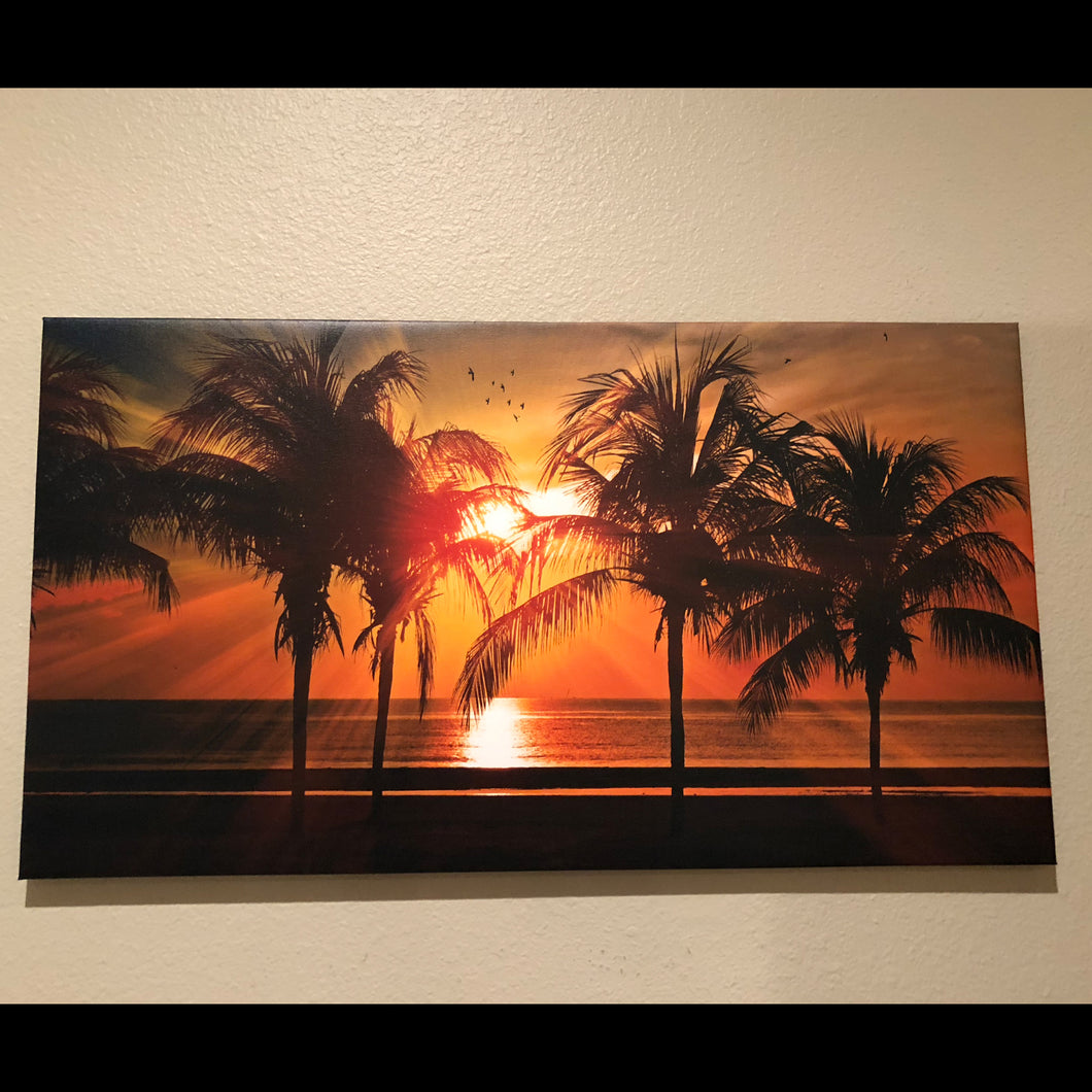 Pre-made Palms in a Sunset (33